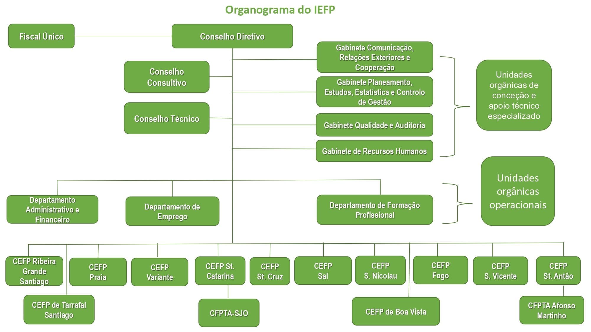 Estrutura Organizacional do IEFP